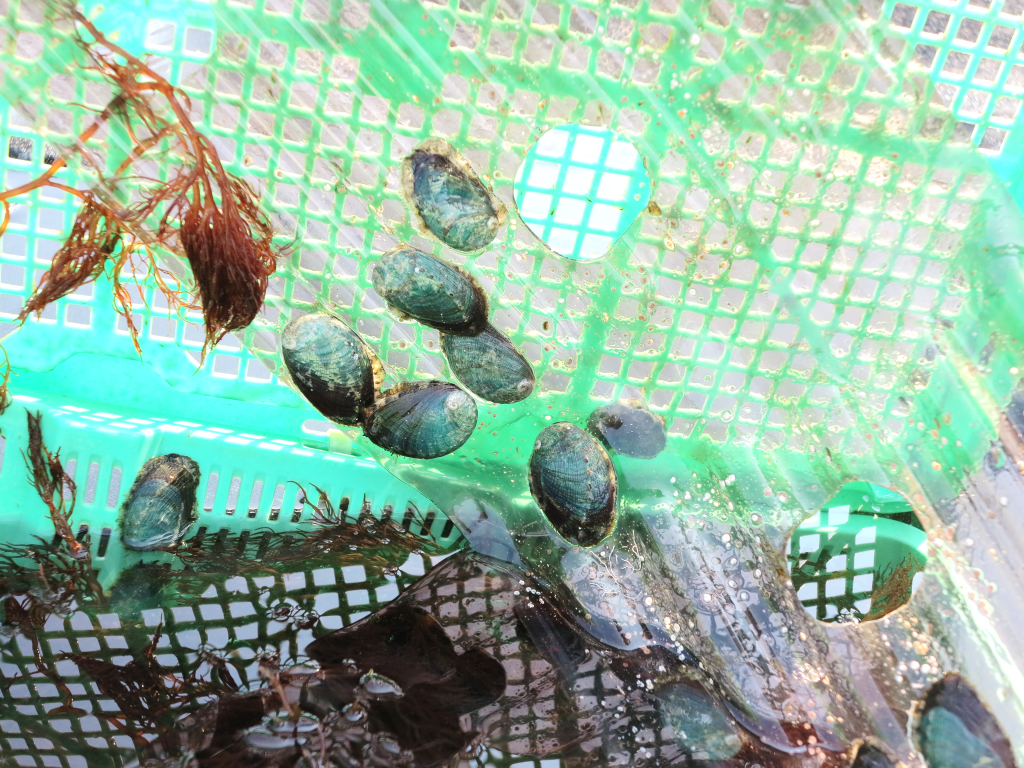 キャンパス・附属施設紹介 徳島大学生物資源産業学部